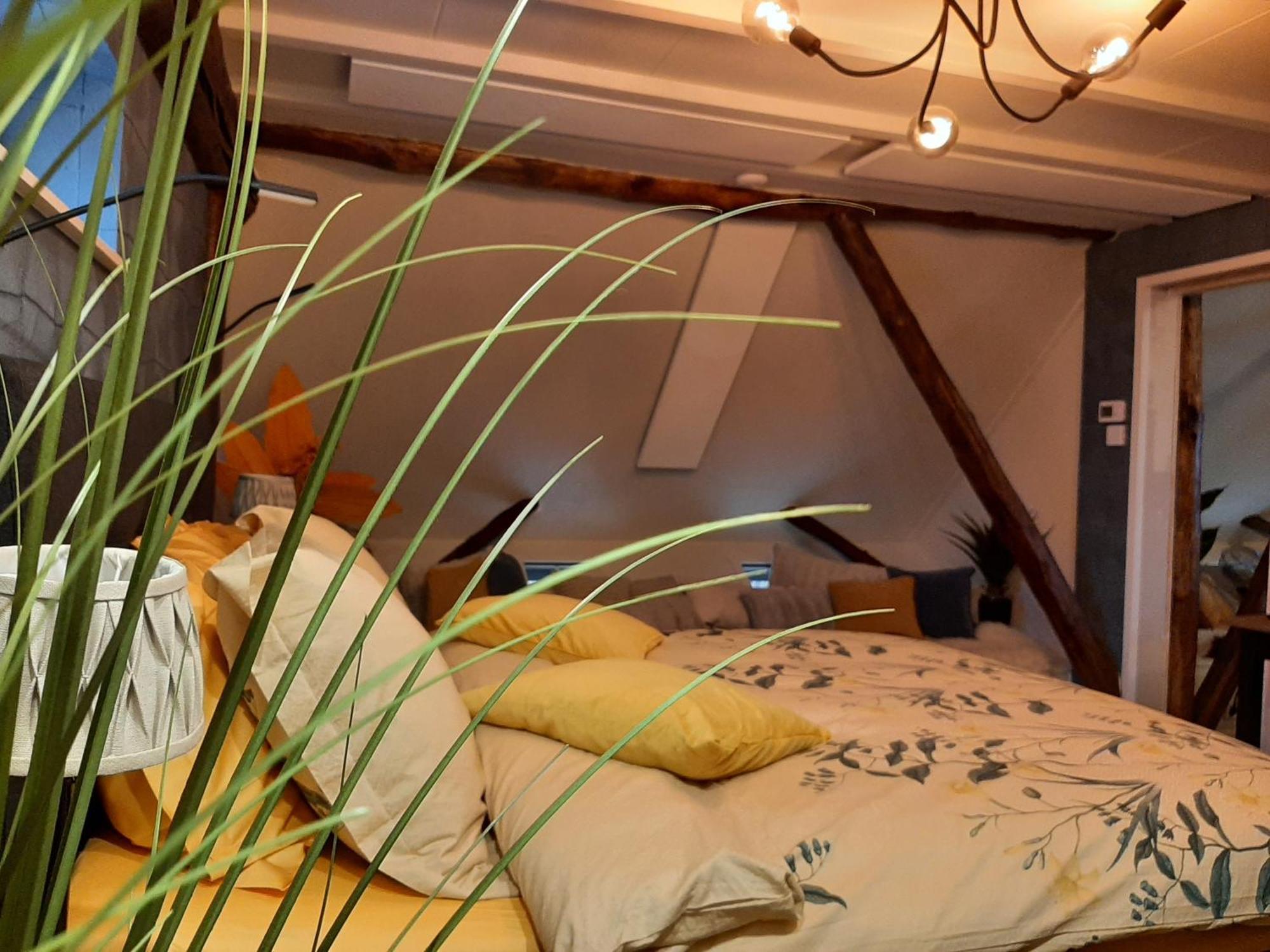 Loft De Hooizolder Met Sauna Bij Te Boeken Gees ภายนอก รูปภาพ